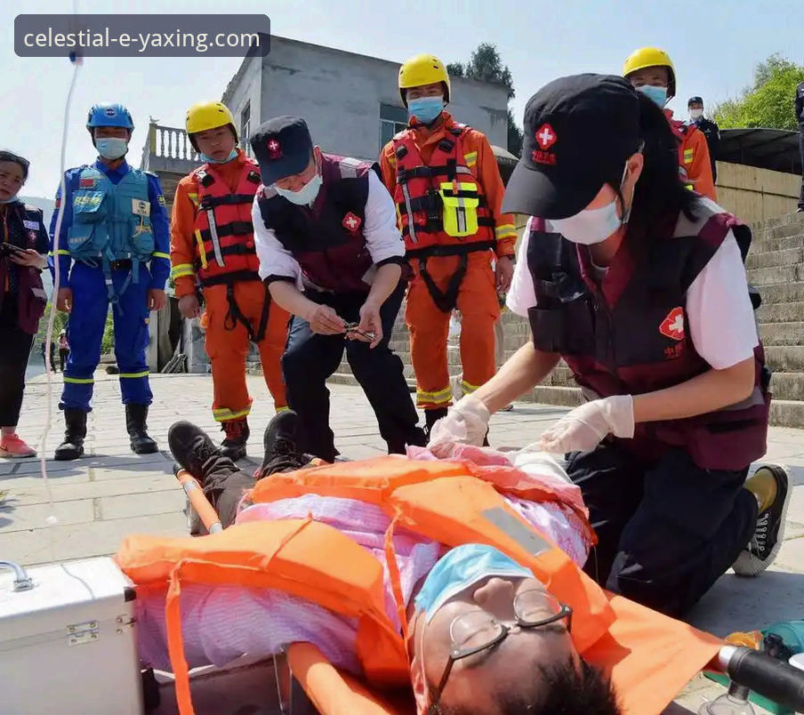 资深用户分享：从帕尼切利重伤事件看体育资讯获取的深度体验