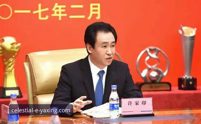 从金元帝国到审判席：许家印案背后的商业逻辑与平台体验深度解析